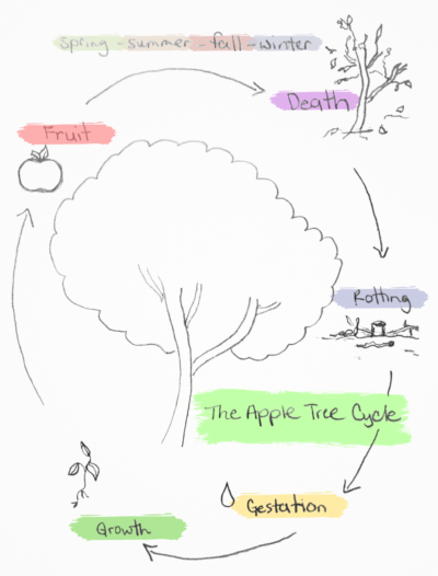 Apple Tree Cycle - Trilotherapy - Rita Reddy - LunaHolistic