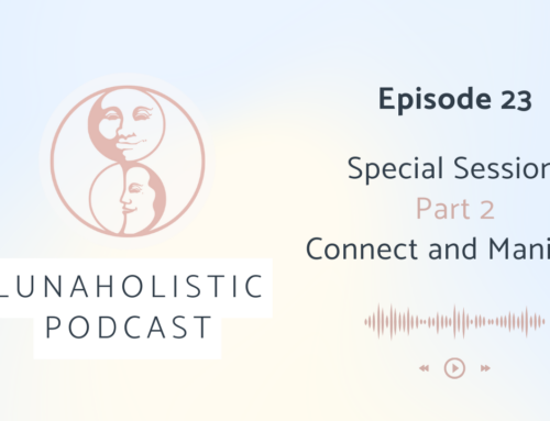 Podcast 23 – Special Sessions Part 2 – Connect and Manifest