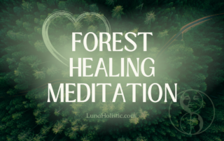 Forest Healing Meditation - LunaHolisitic.com