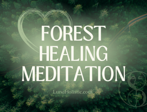 Forest Healing Meditation